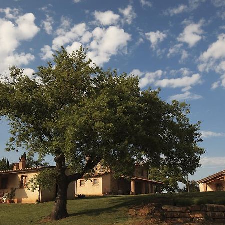 Agriturismo Belvedere Di Pierini E Brugi Campagnatico المظهر الخارجي الصورة