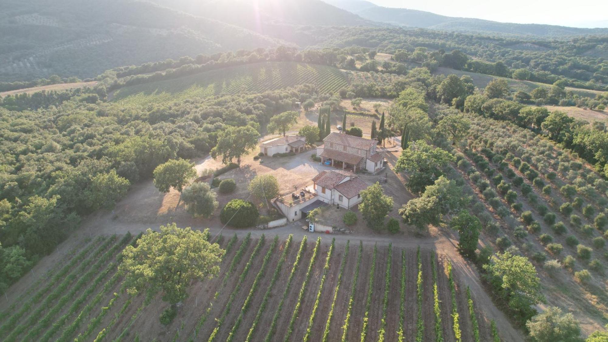 Agriturismo Belvedere Di Pierini E Brugi Campagnatico المظهر الخارجي الصورة