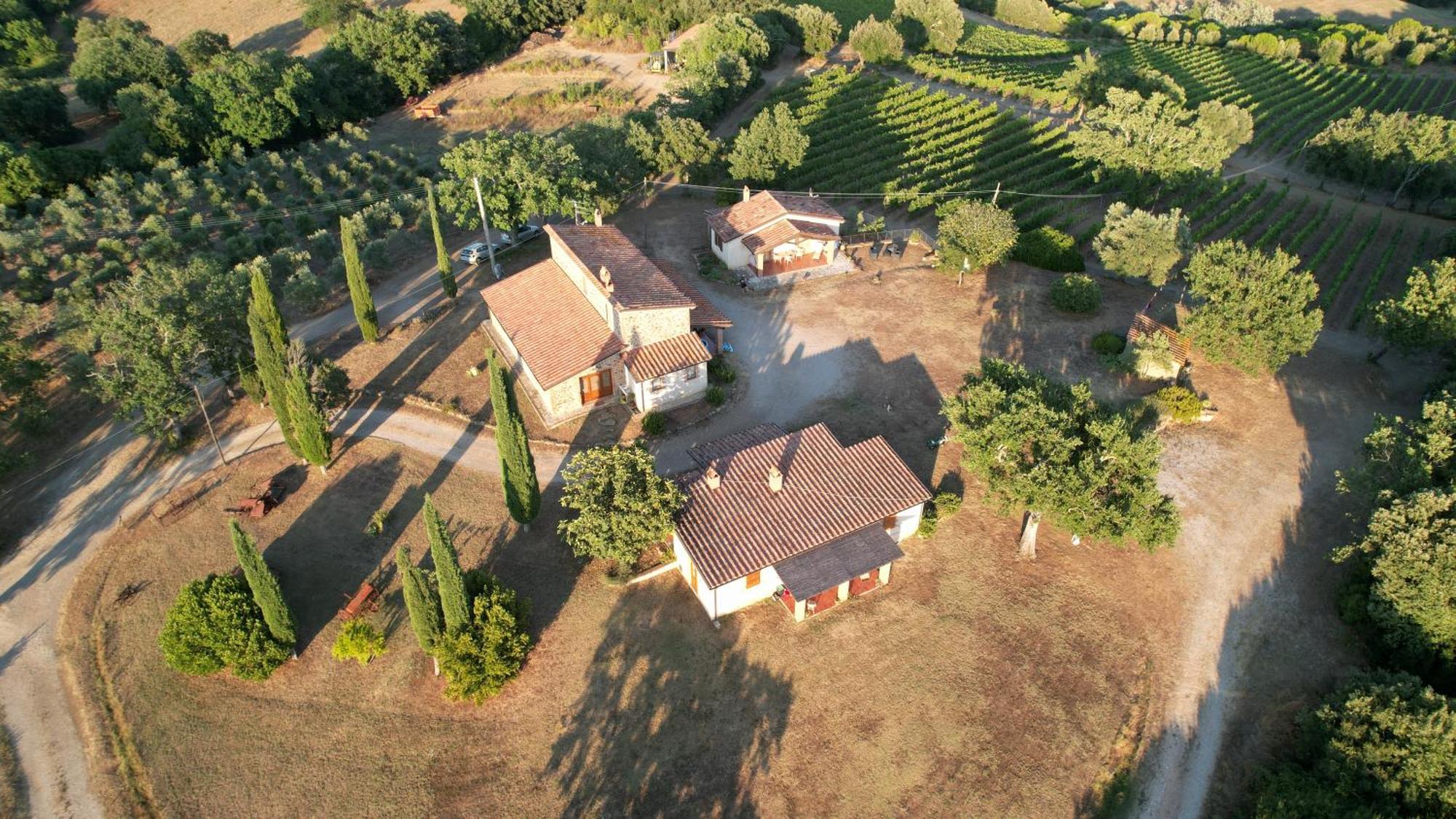 Agriturismo Belvedere Di Pierini E Brugi Campagnatico المظهر الخارجي الصورة