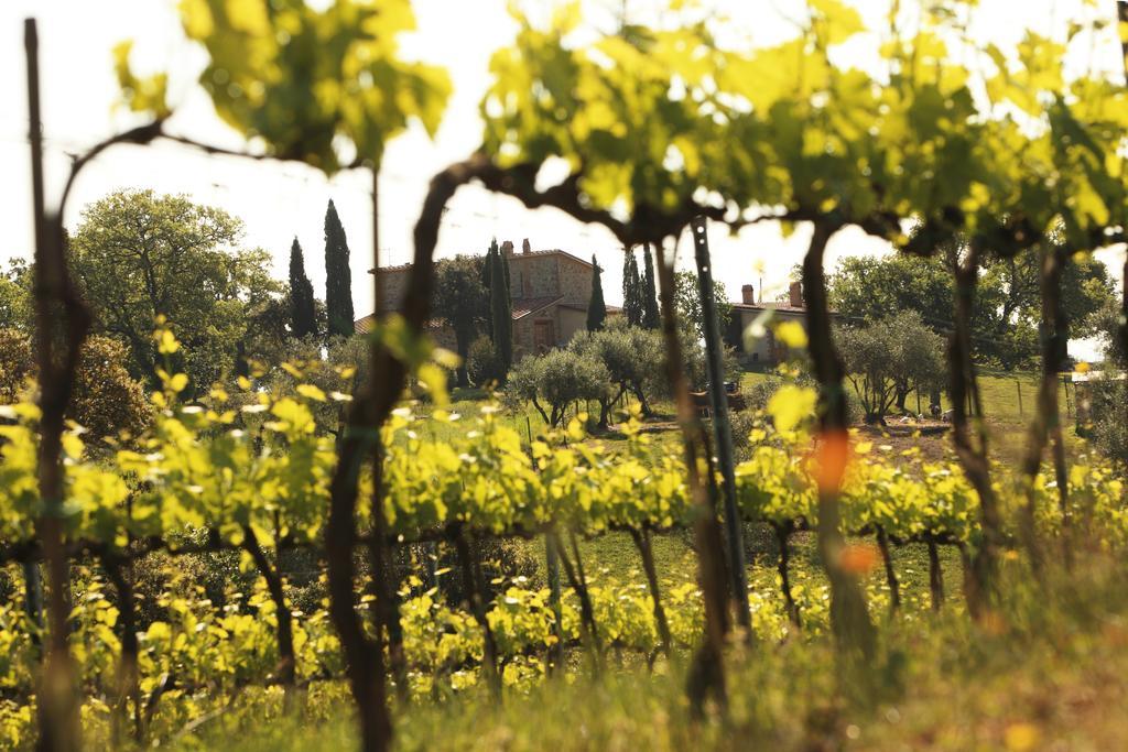 Agriturismo Belvedere Di Pierini E Brugi Campagnatico المظهر الخارجي الصورة