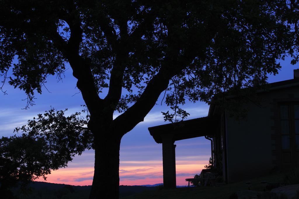 Agriturismo Belvedere Di Pierini E Brugi Campagnatico الغرفة الصورة