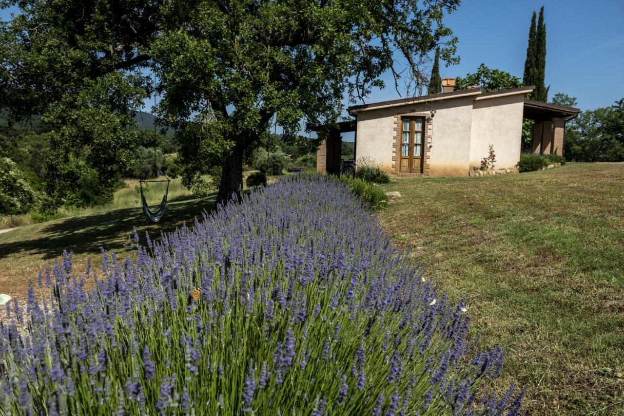 Agriturismo Belvedere Di Pierini E Brugi Campagnatico المظهر الخارجي الصورة